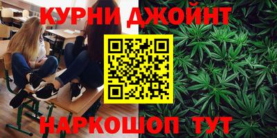 шишки Кимры