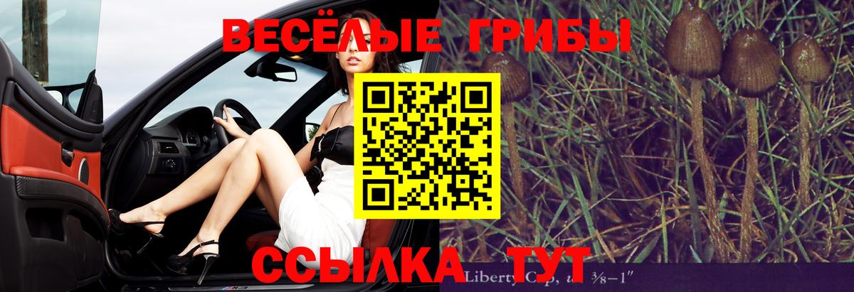 Псилоцибиновые грибы Magic Shrooms Кудрово